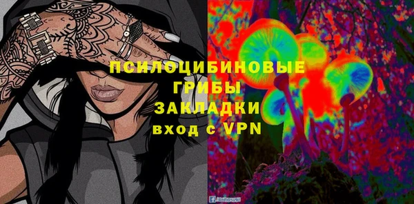 сатива Абаза