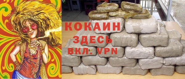 сатива Абаза