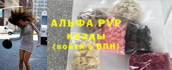 сатива Абаза