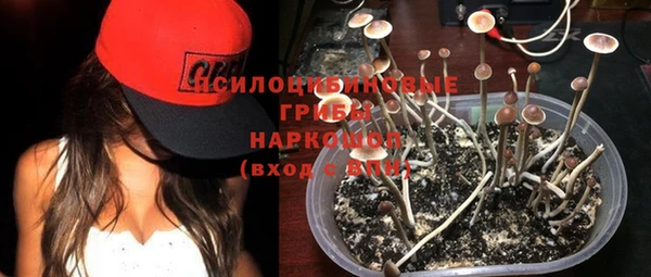 эйфоретик Абдулино