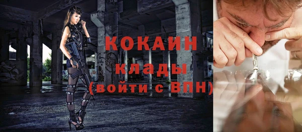 сатива Абаза