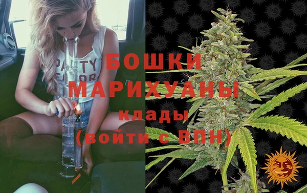 сатива Абаза
