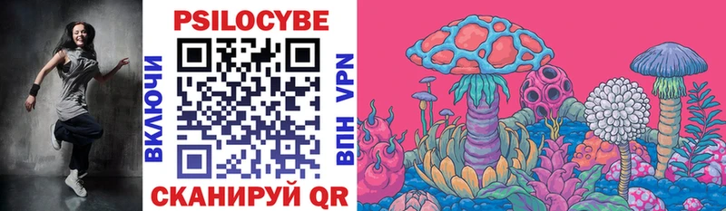Псилоцибиновые грибы Psilocybine cubensis  как найти наркотики  Комсомольск-на-Амуре 