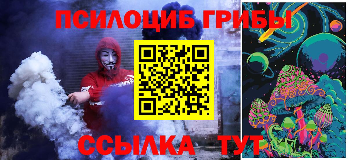 Комсомольск-на-Амуре  Псилоцибиновые грибы Psilocybine cubensis  Вход с VPN 