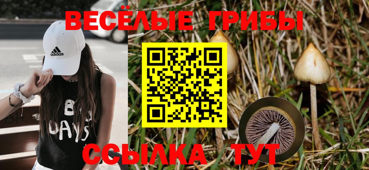 Псилоцибиновые грибы ЛСД Комсомольск-на-Амуре